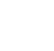 dirk_mittendrin_logo